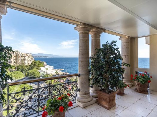 Apartment With Panoramic View in Monaco